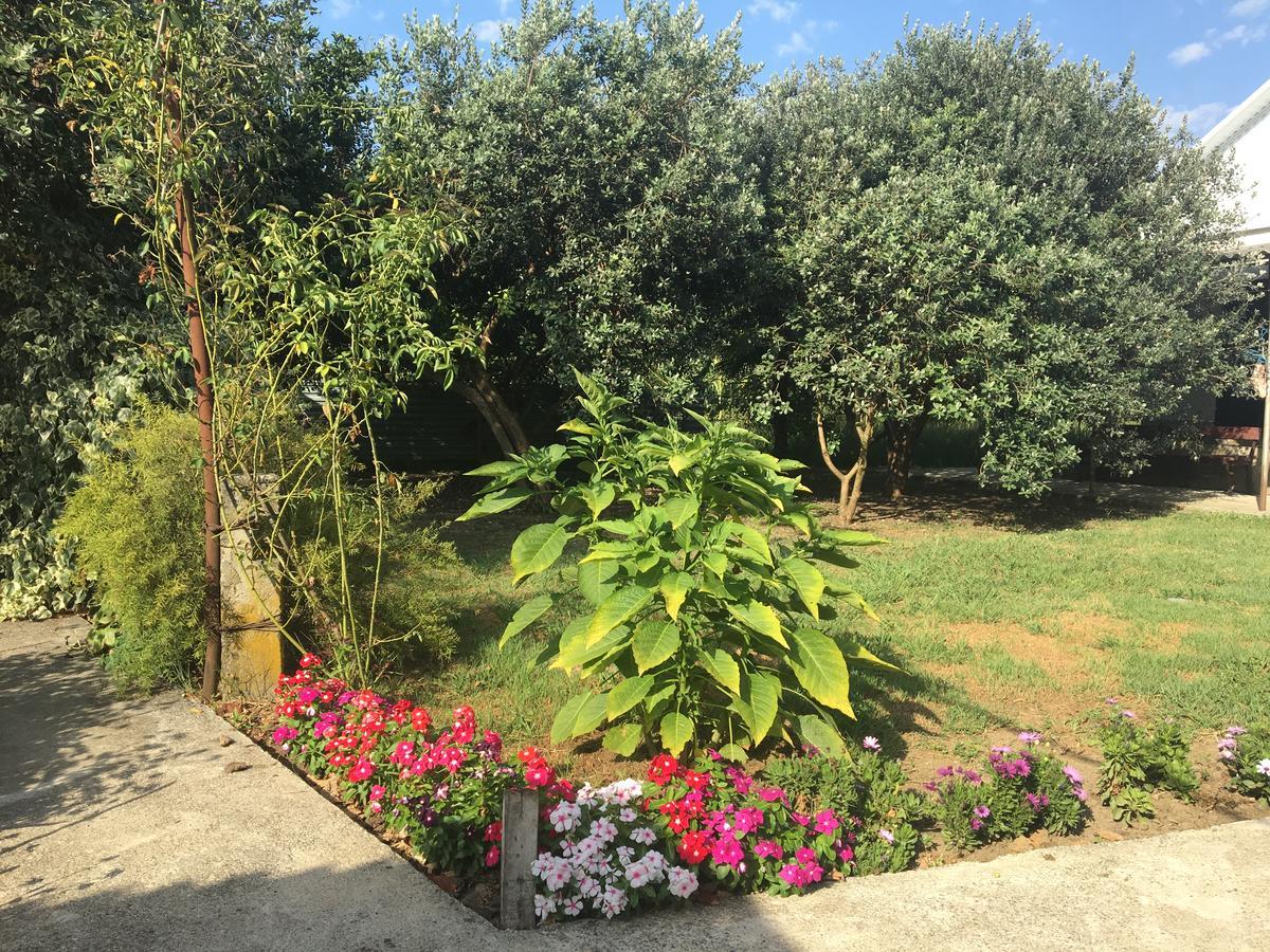 Guesthouse Milena Leselidze Esterno foto